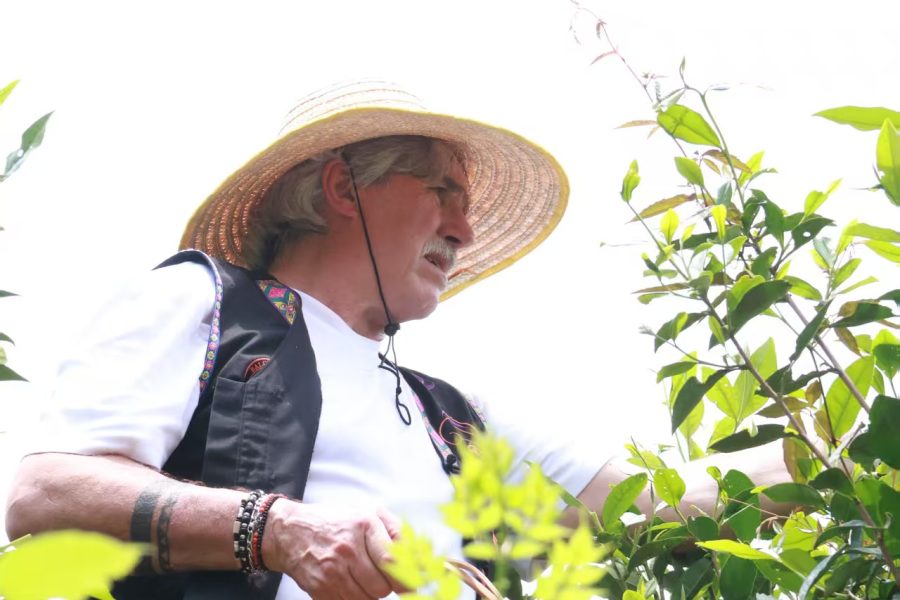 VIAGGIO DI STUDIO E CULTURA DEL Tè – 16 GIORNI