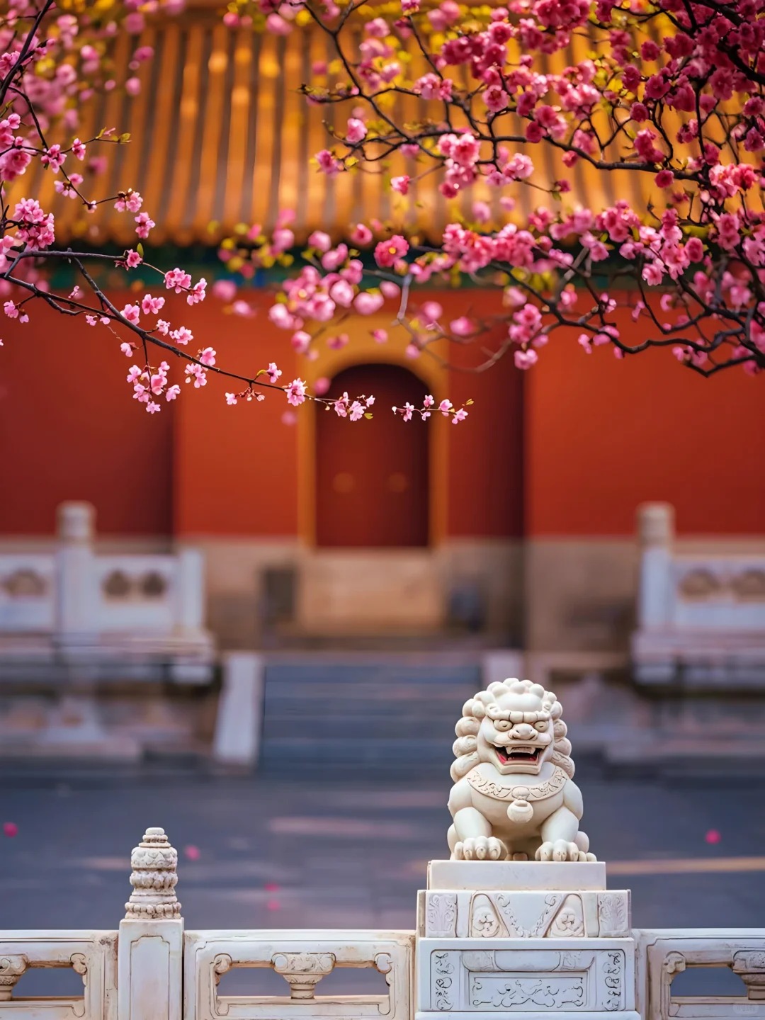 图片_20260730201001_1205_26