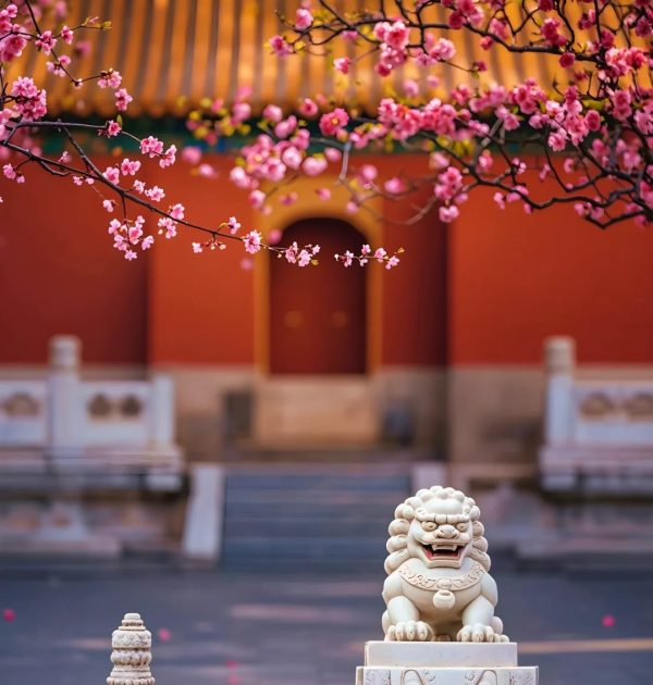 图片_20260730201001_1205_26